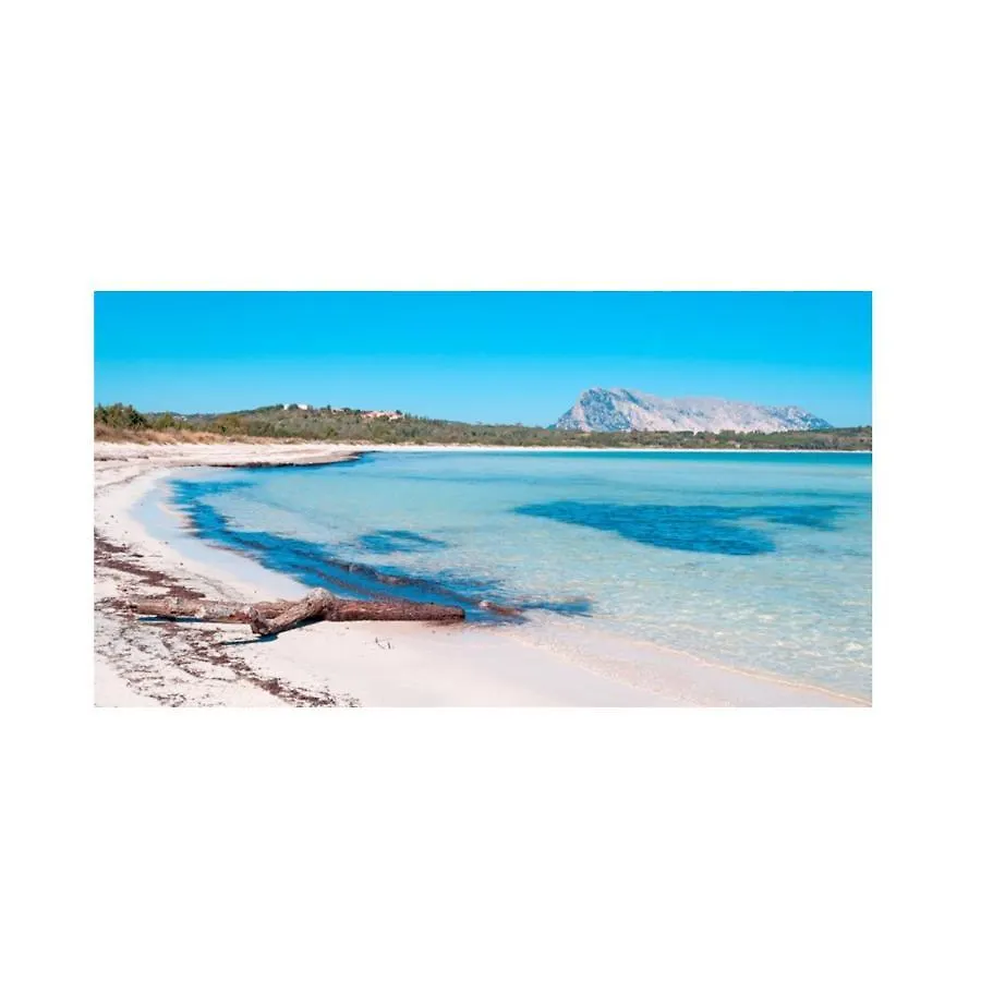 Holiday home Casa Vacanza In Centro Villa San Teodoro  Italy
